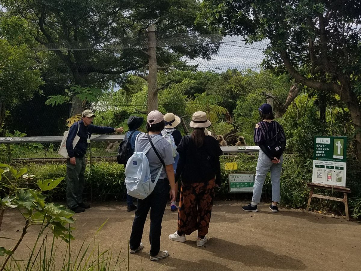 ݂ǂ⓮Ƃ̗b𕷂Ȃ牀U