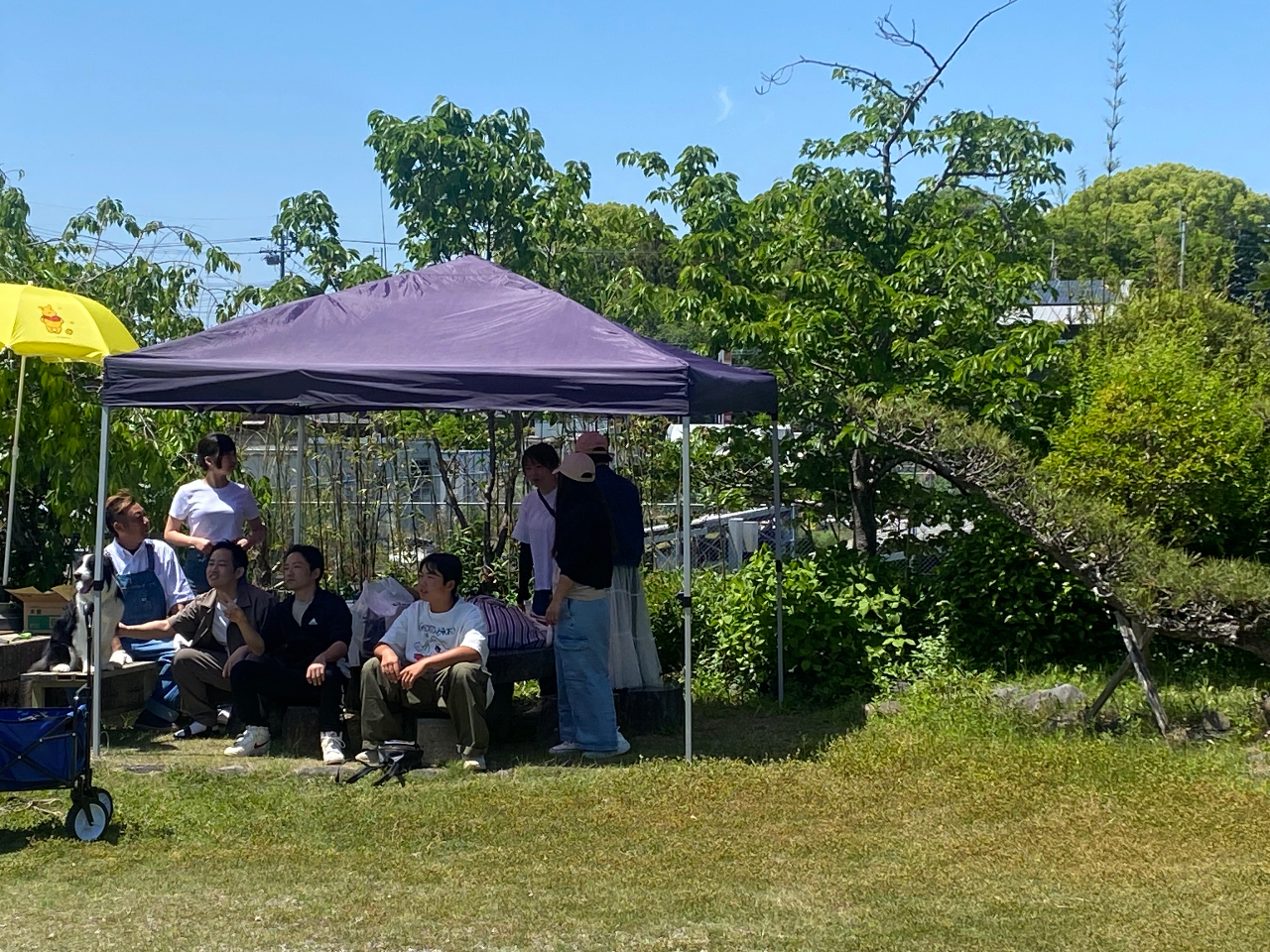 񂿂劽}*:.. o()o ..:*