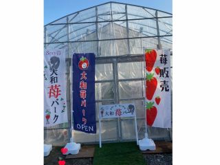 2023年3月オープン!大和苺パークです♪