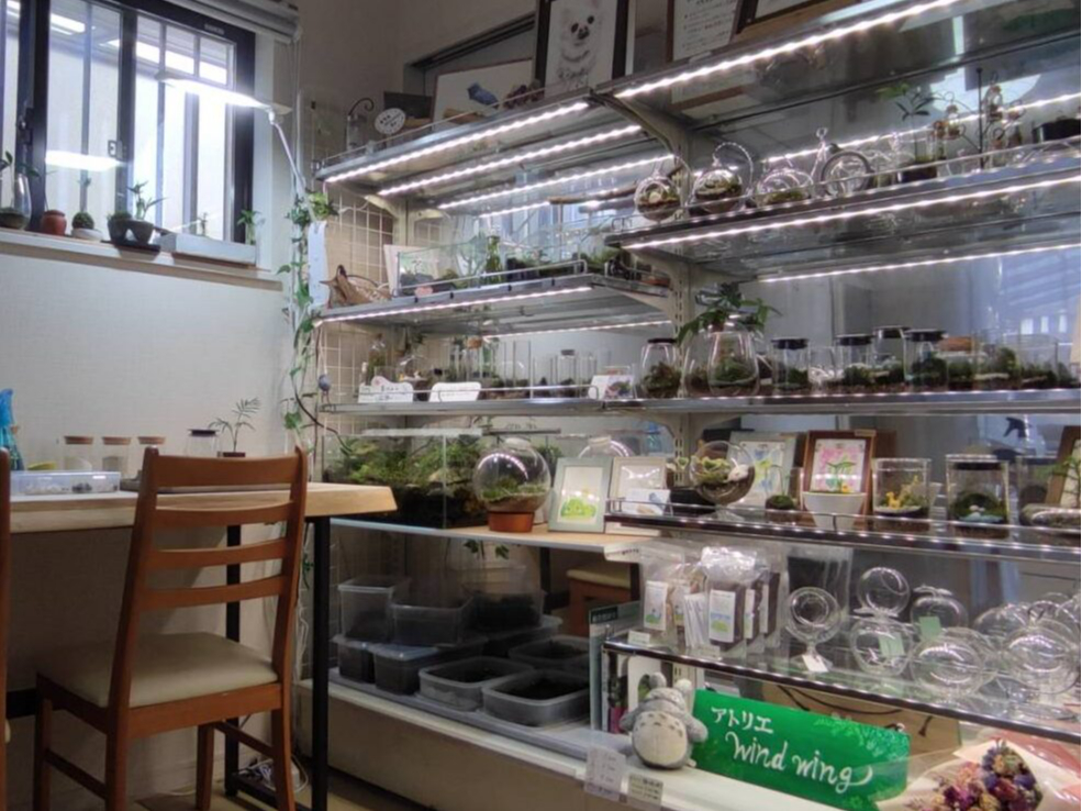 AgG̗lqłBϑ̔Ŕ[iO̍ił̔Ă܂BۂȂǂ̎ނ̔Ă܂B