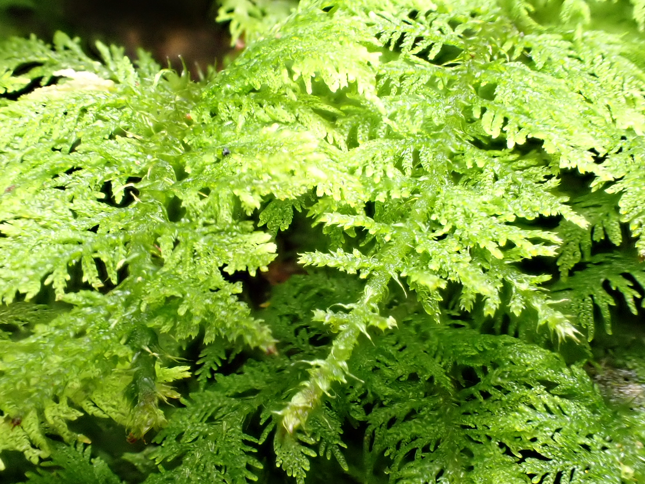 ۂɂ͂Ȏނ܂B܂܂ȑۂ𓖓XłB