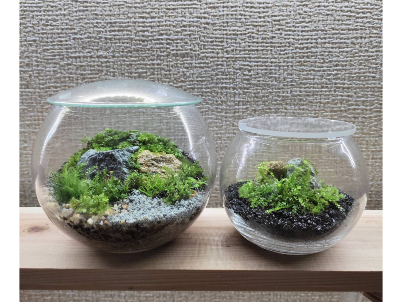 čkTCY̊ی`AEMTCY̊ی`łBkTCỸKXMTCY݂AƂĂ܂B