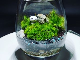 手乗りサイズで置き場所に困らない、丸みが可愛いテラリウム。お子様、女性に人気の容器です♪初心者でも作りやすい大きさなので、安心してお作りいただけます。