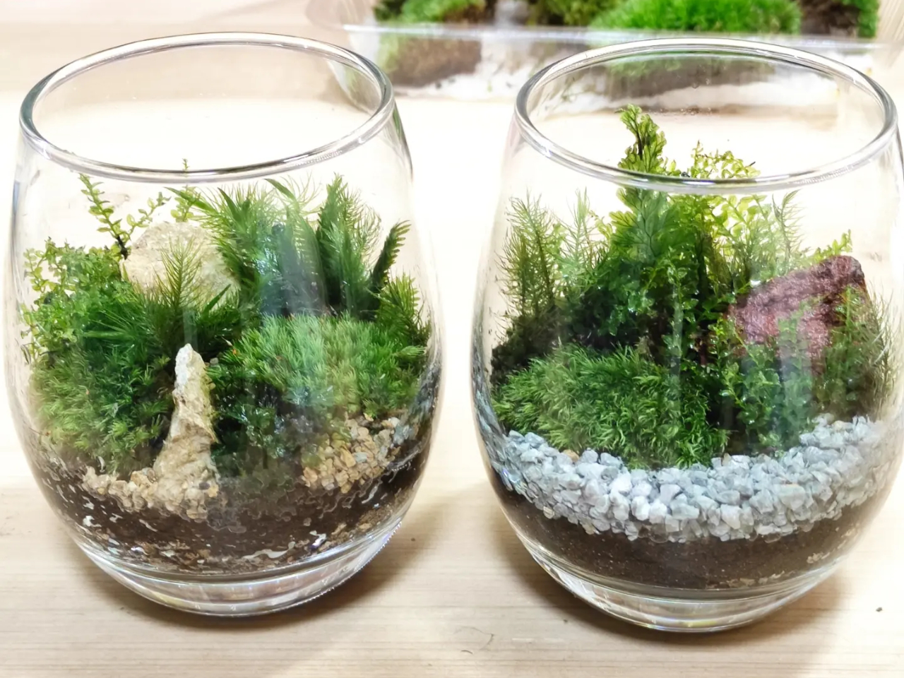 qliłBs̖΁uR΁v̐΂ƃThgAR̃C[WoĂ܂BR΂gƁAiȎR̐FɂlۂiɎdオ܂