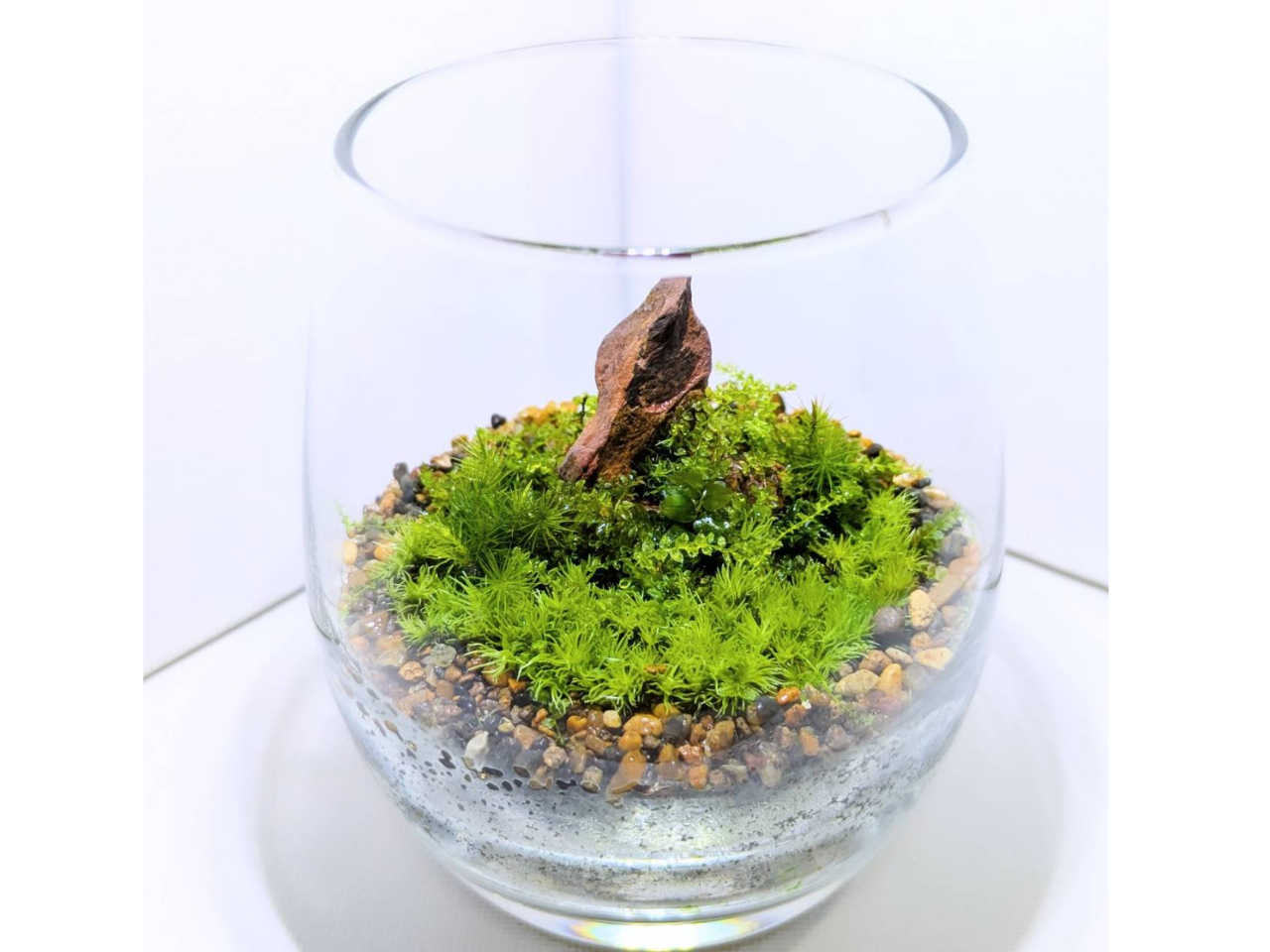 utiB̃eE̒AԈۂ݂̂gč܂B