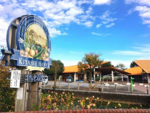 HICԂ5Bo[xL[{݂ɉAnHނ_JtFAG߂̉ԂʂulG̋uvȂǈVׂX|bgłI