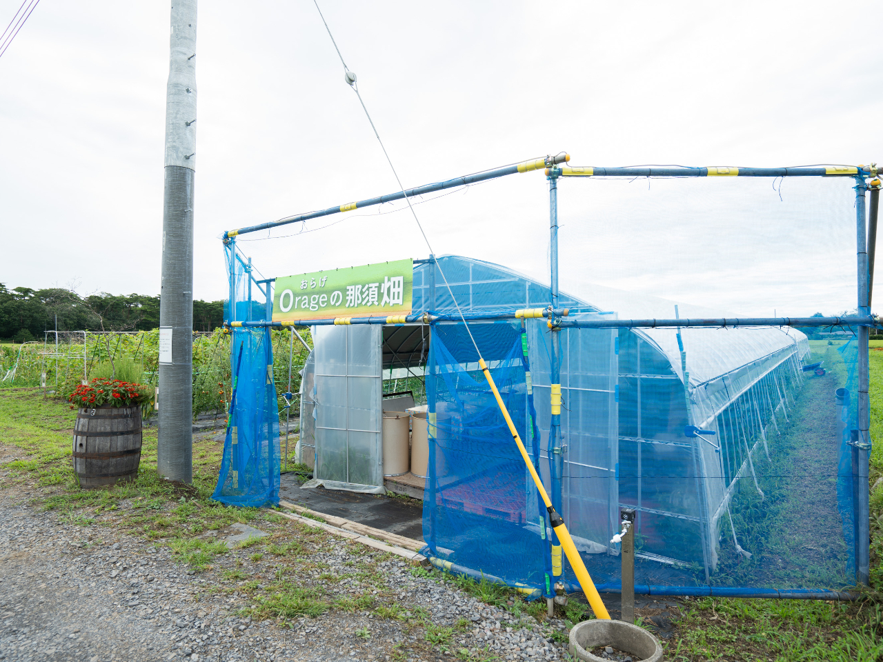 Orageの那須畑 ビニールハウス