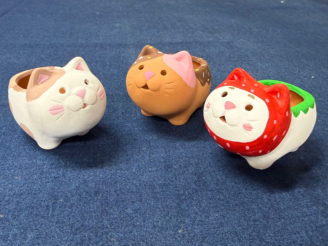 �z���͂ǂ��܂ł����R�ɁI