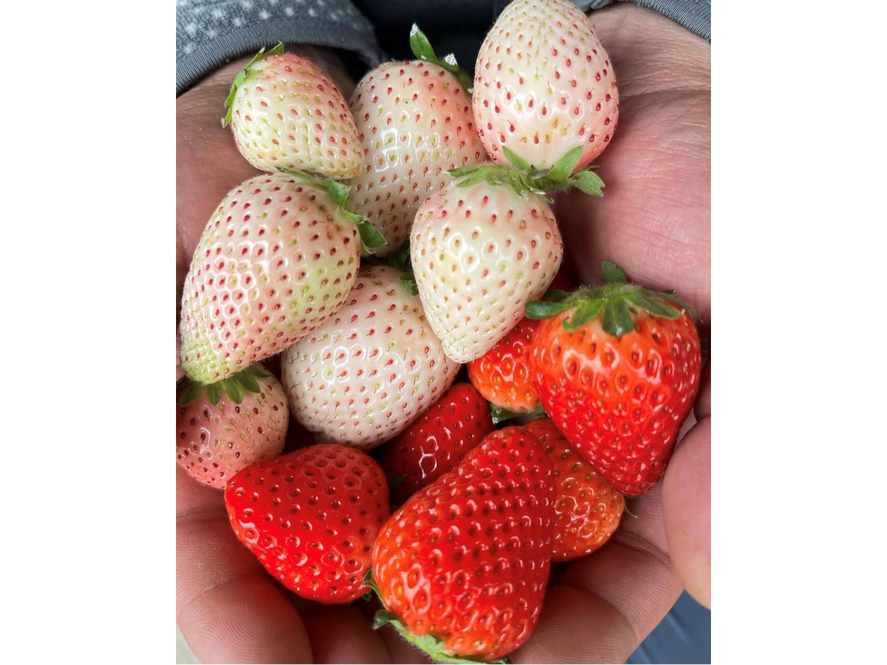 l̕q܂AF܎vv̂ЂƂƂ߂