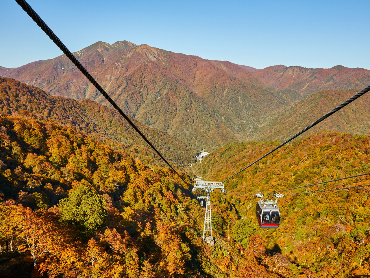 空中散歩で四季折々の絶景をお楽しみください。