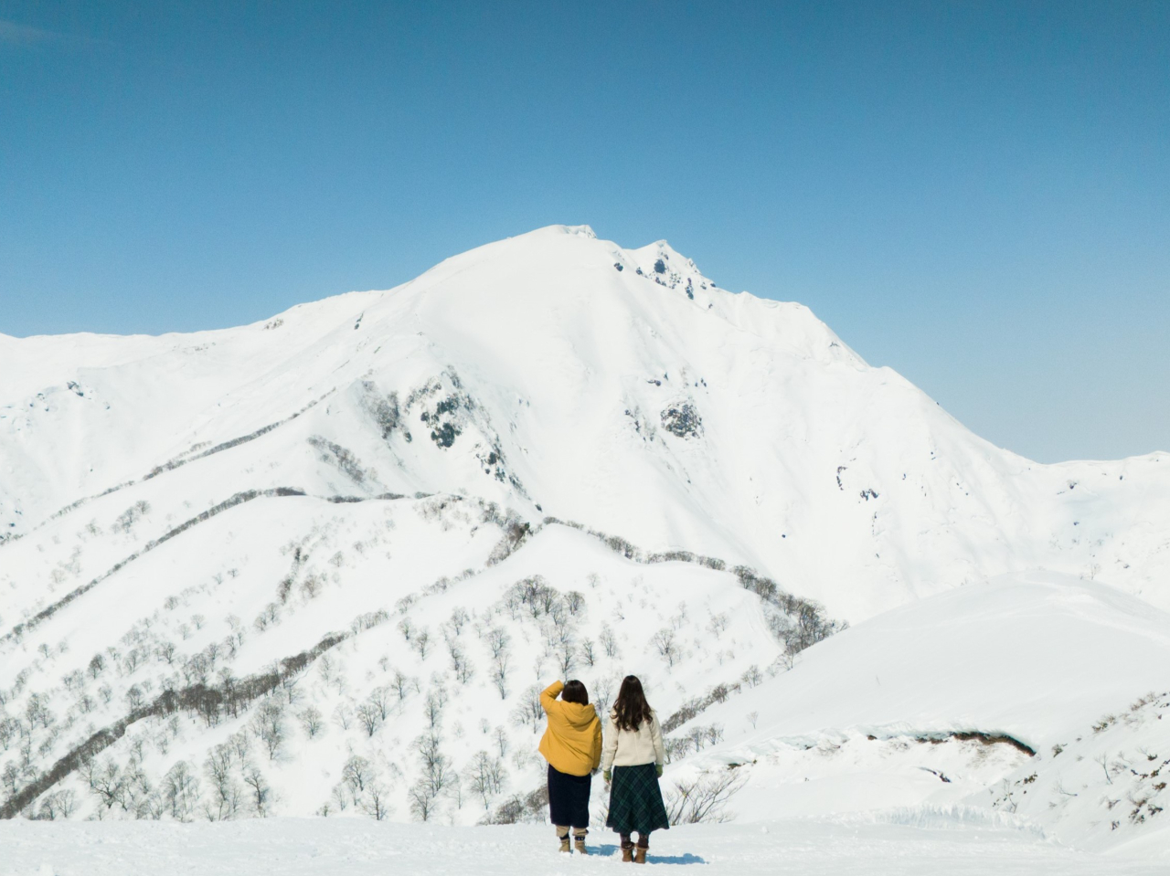 �~�́A100%�V�R��̃p�E�_�[�X�m�[�̐�i���y���߂܂�