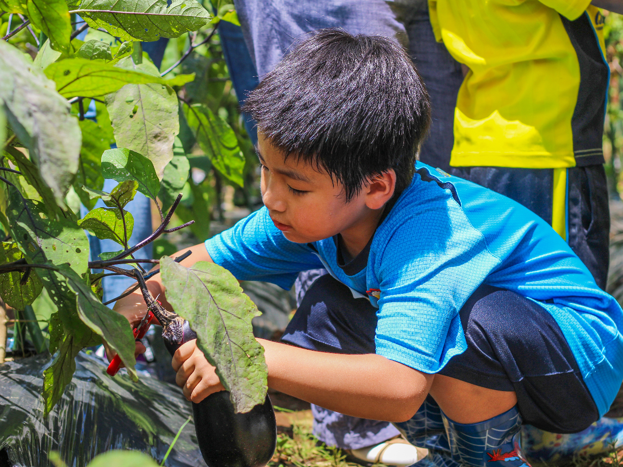 G߂ɂĈقȂ؂nł̂ŁAtEāEHE~Ǝl_ɗVтɗĂˁB