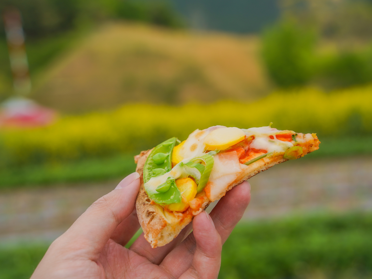 ̂ꂽĂ̖؂sUɃgbsOĂ̏ŐHׂ܂I