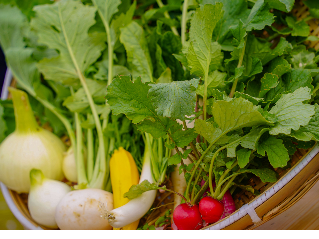 うま味や甘味がぎゅっとつまっていて美味しいです!