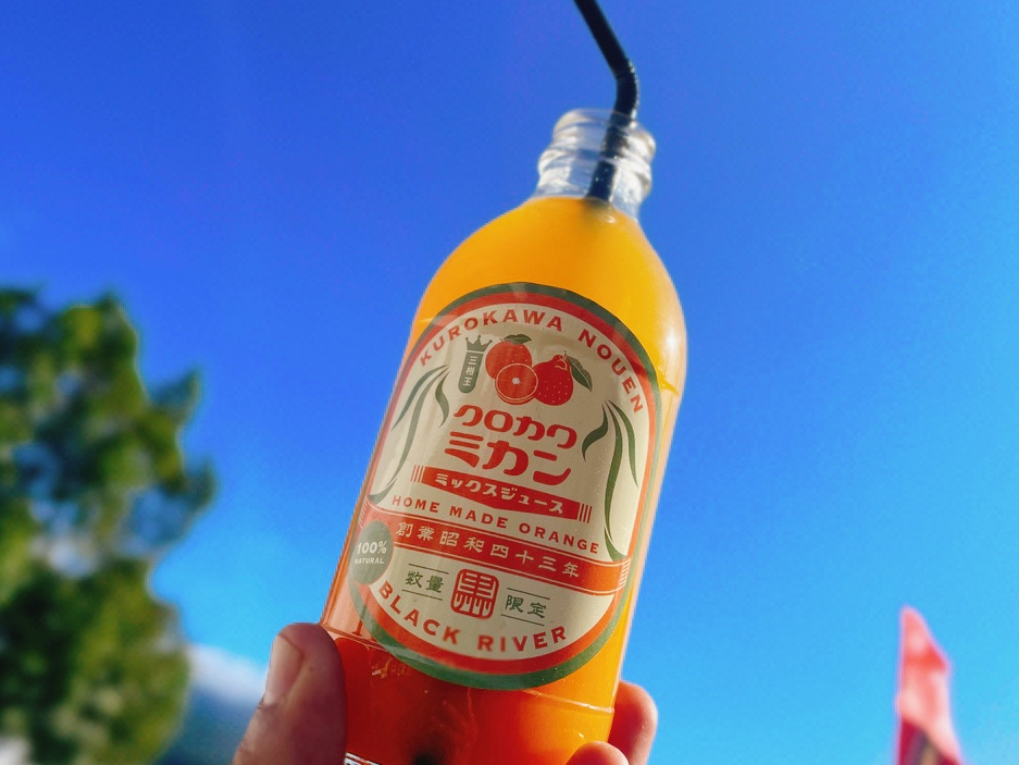 u݂{fR|{ƂvO̊kAґʏ`100̃W[Xt