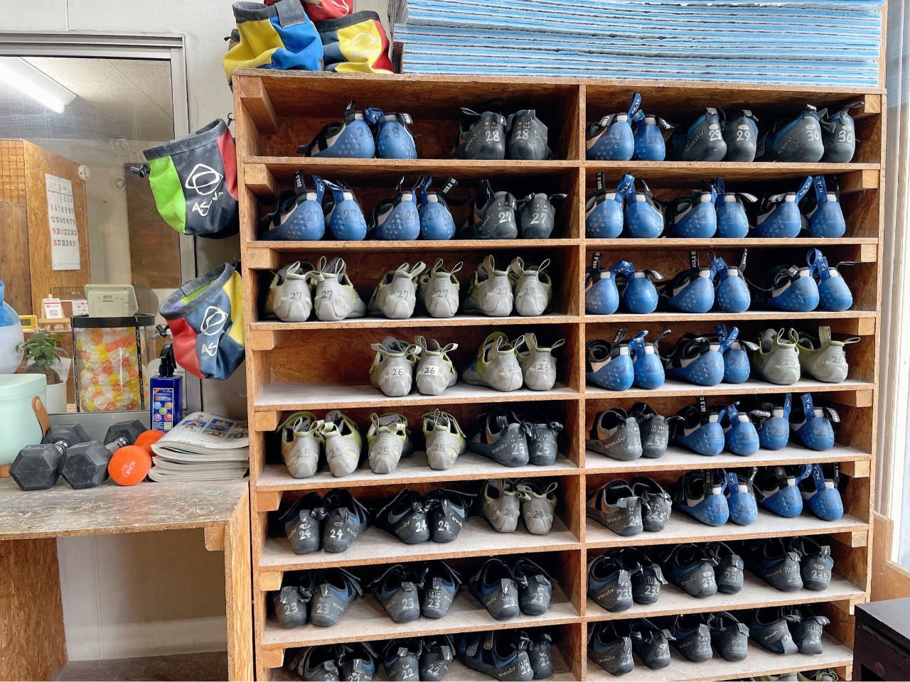 ^V[Y͒EȂTCYIԂƈSłB