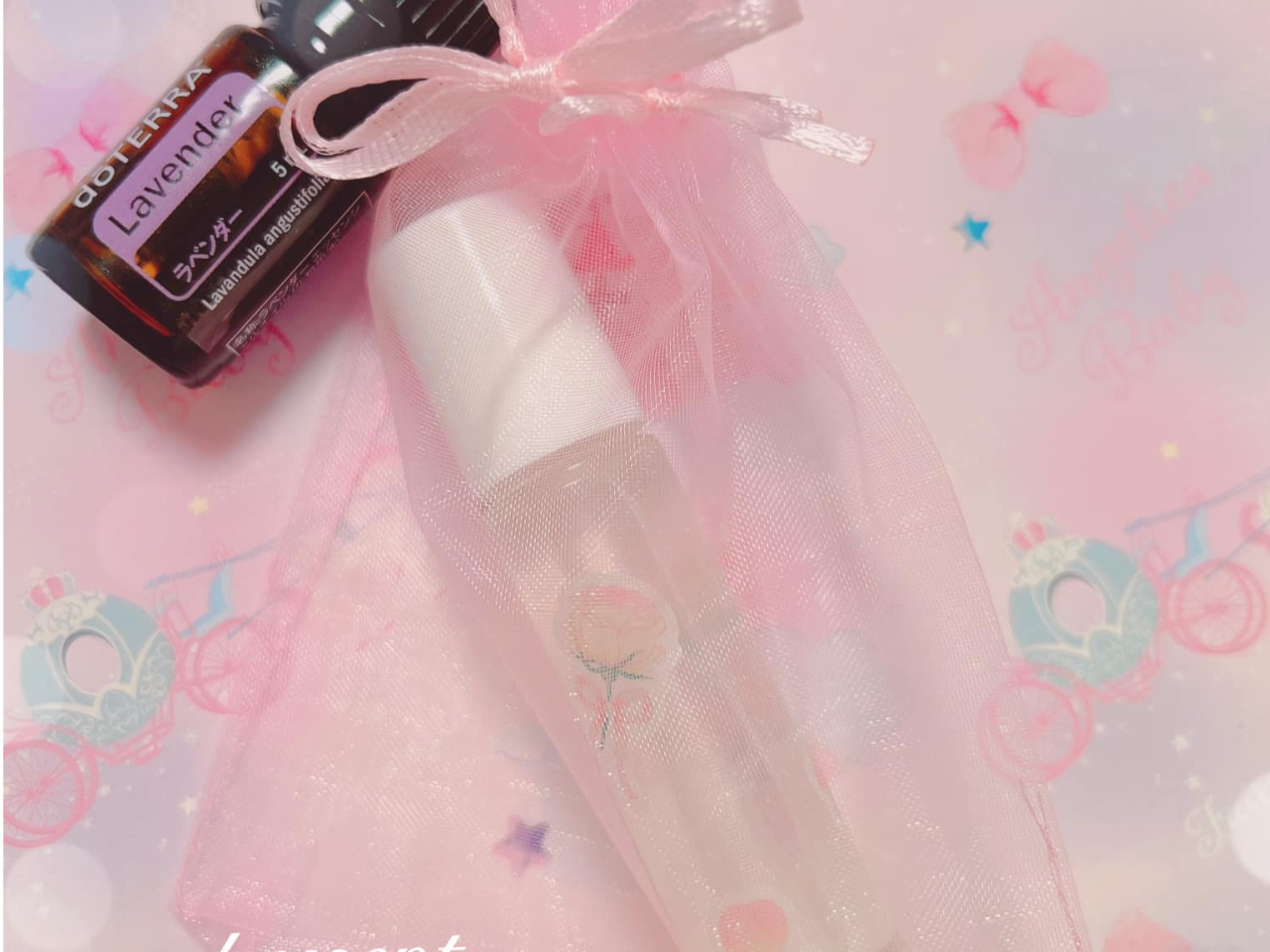 sh鍁[I1,500~t炫烉̃NNh^Cv̍łBAt[c100%̃A}ō̂ŁAD̍łB