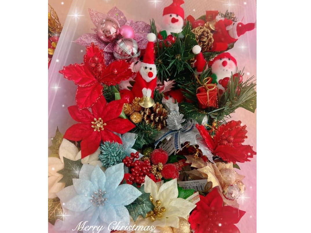 ́A̒IԂƂo܂Bʐ^̓C[WłBNX}Xo[W