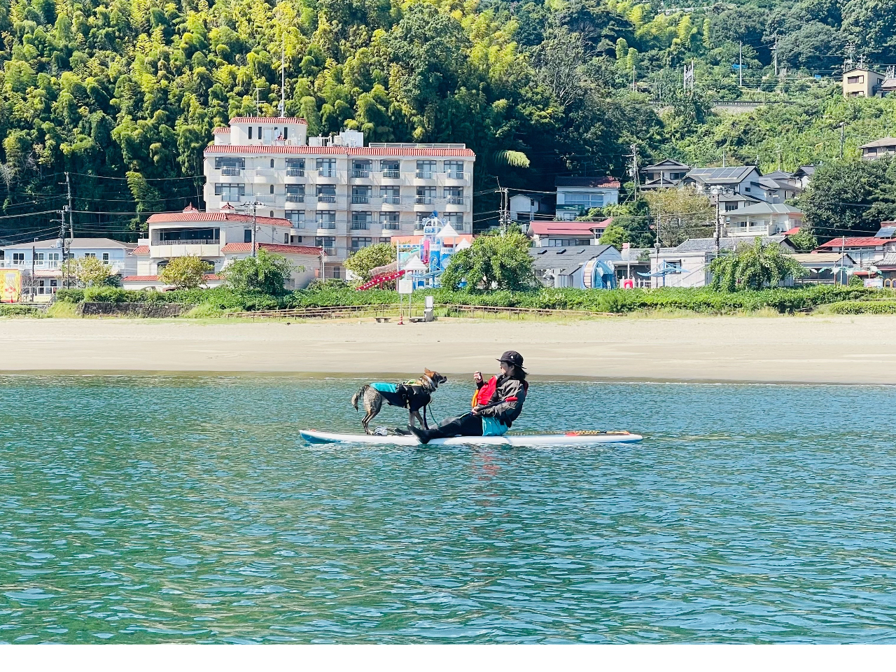海水浴期間【他グループと混ざらない専属ガイド】愛犬と熱海DOG SUP60