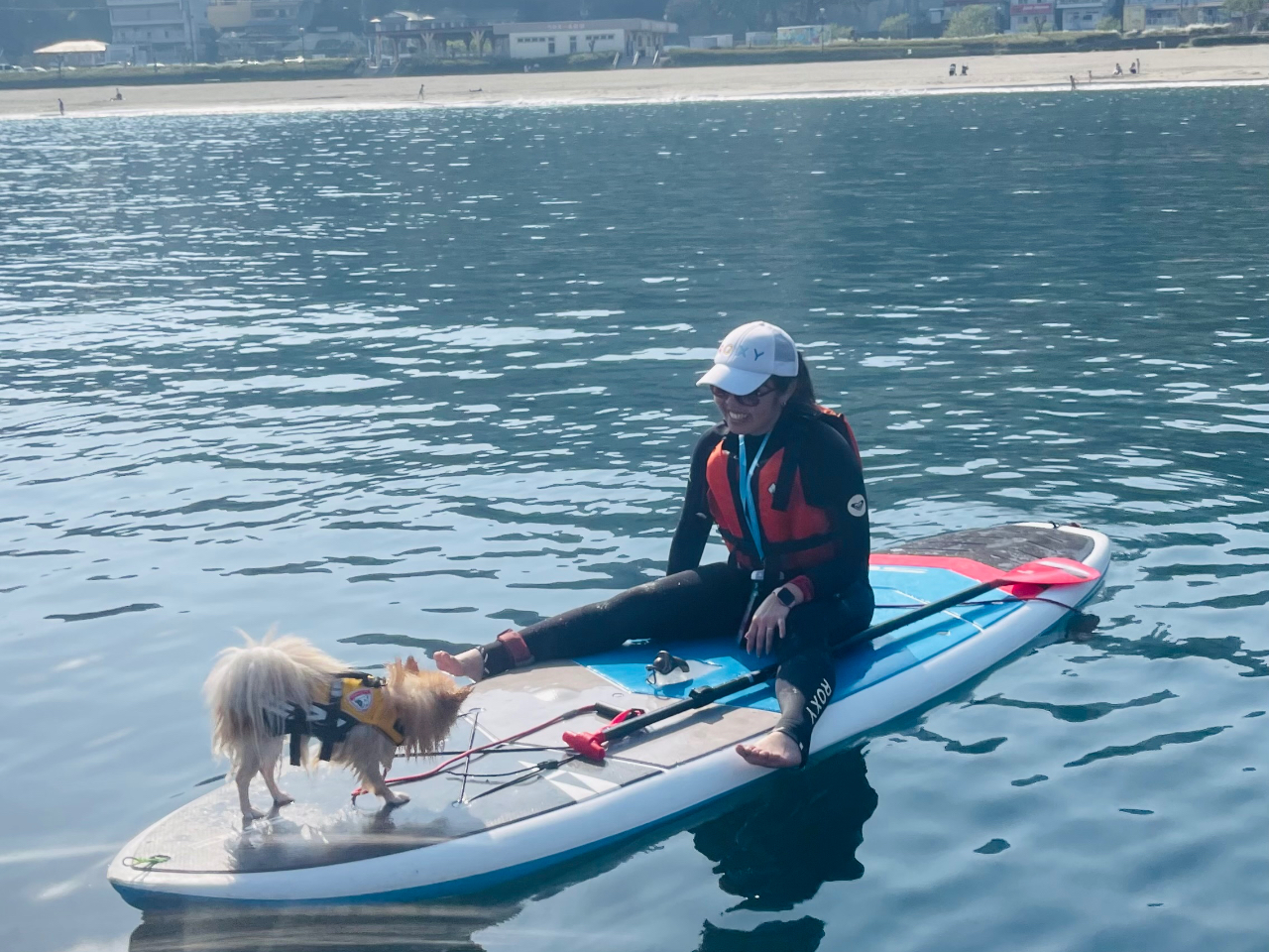 海水浴期間【他グループと混ざらない専属ガイド】愛犬と熱海DOG SUP60