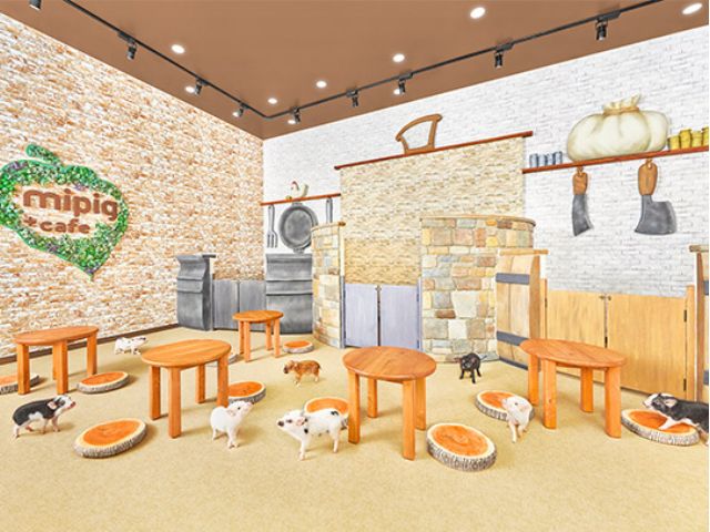 mipig cafe モゾ名古屋店
