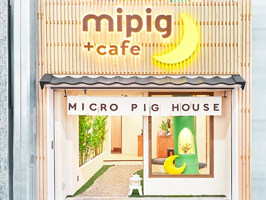 mipig cafe ���s�X�̎ʐ^3