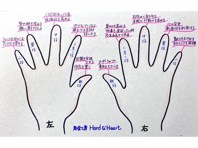 指輪は付ける指によってそれぞれ意味があります。貴方の好みはどれですか?♪