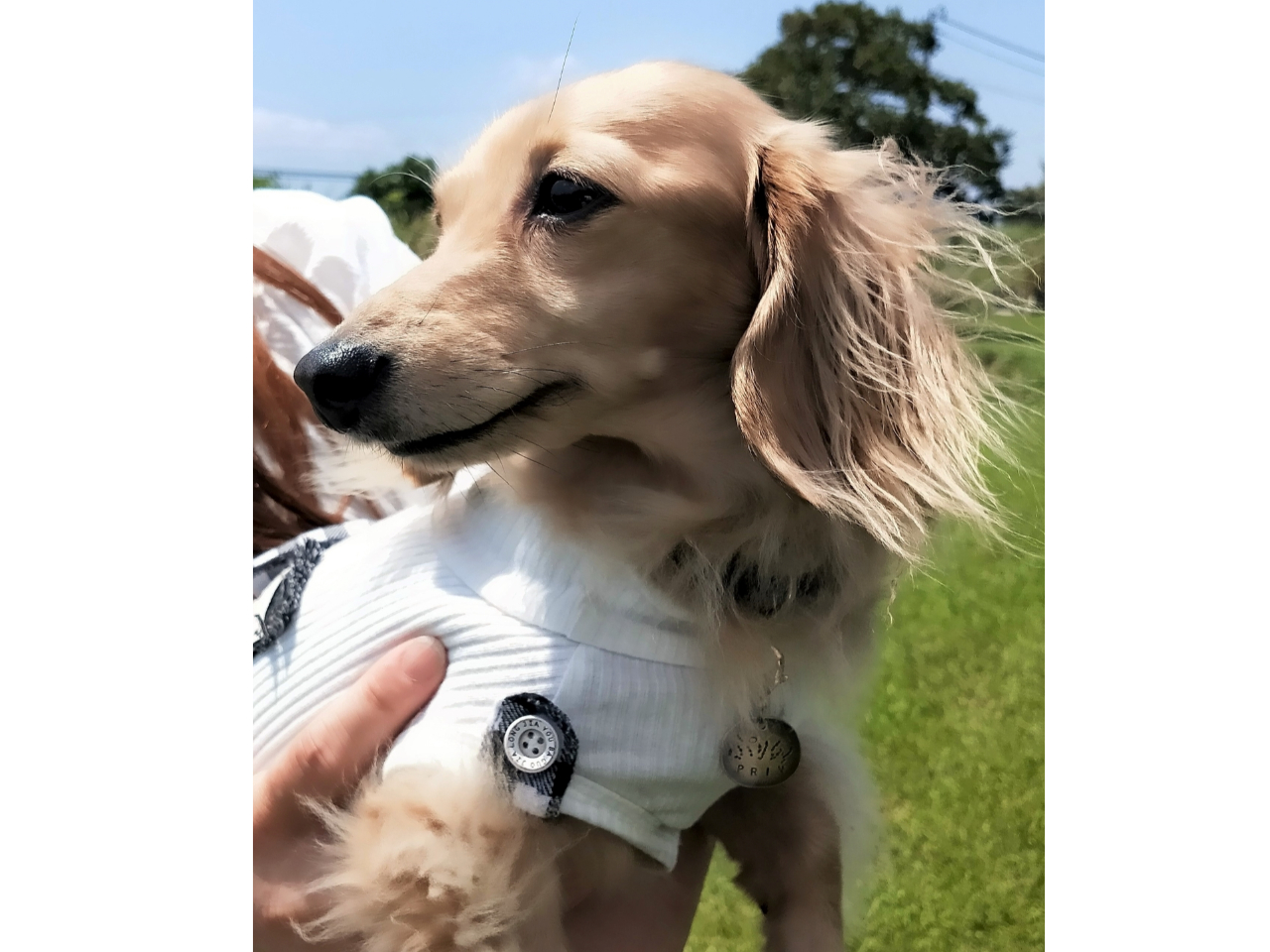 ペットと一緒に遊びに来てね♪ ★県外の方は観光もできる指宿市内のもう一つの施設【彫金工房HardなHeart in香料園】でのご予約もお勧め!】