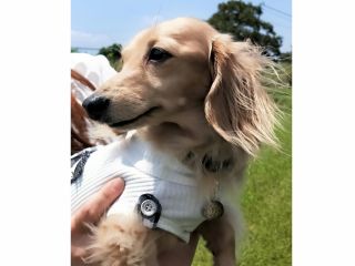 ぷりんちゃん♪ 横顔がお美しいです★