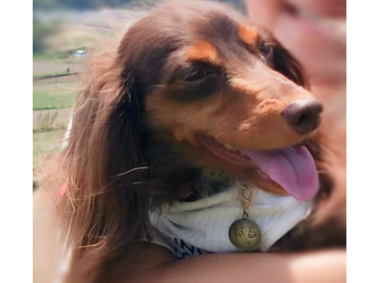 はるちゃん♪ とってもキュート