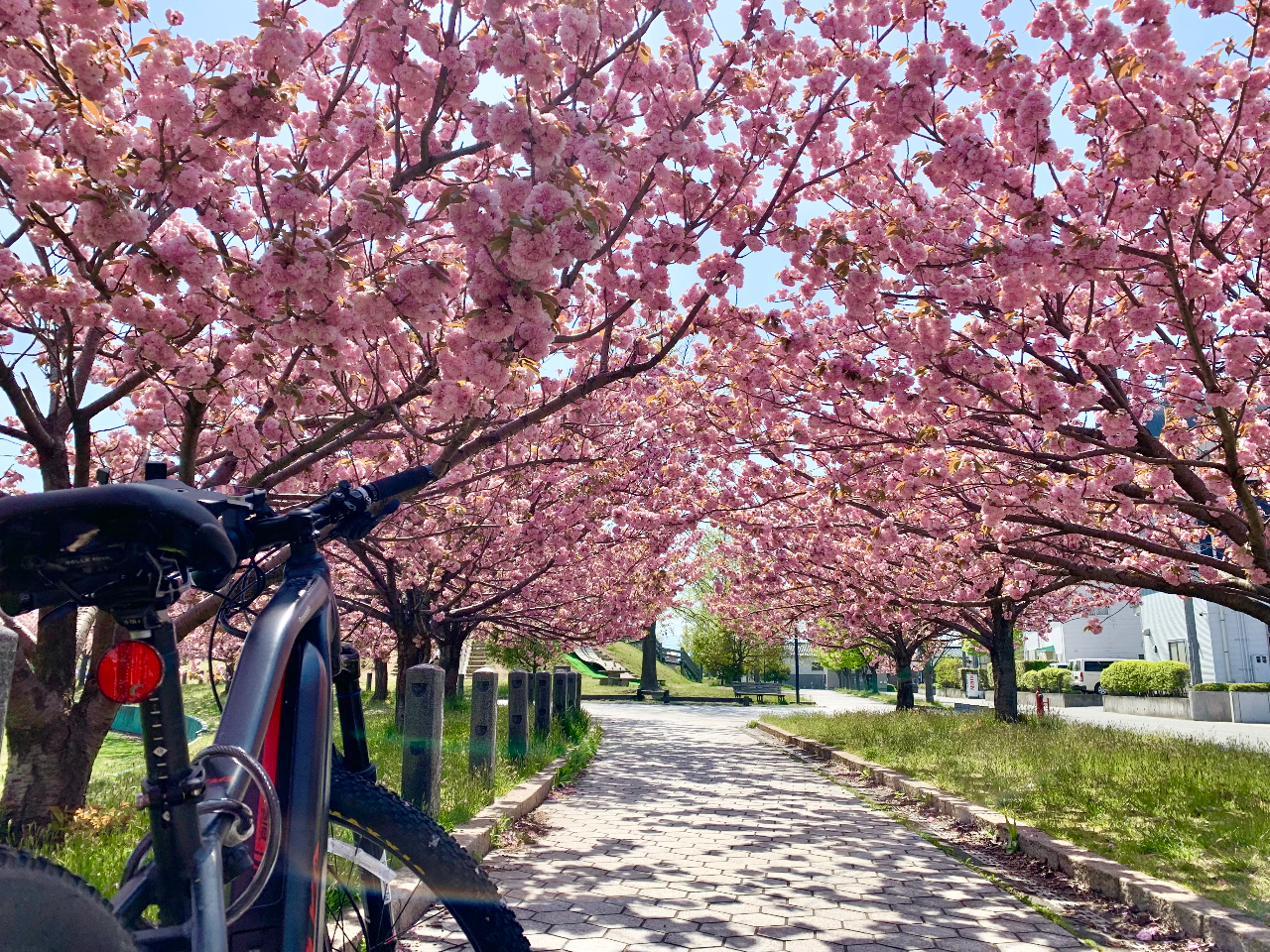 �_�G�߂��Ƃ̒߉��̕��i��E-Bike�ŖK�˂�^�t�̍��A�Ă̗΁A�H�̍g�t��