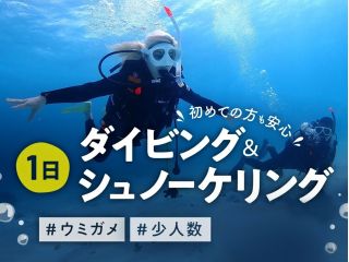 人気の体験ダイビング1日コース!