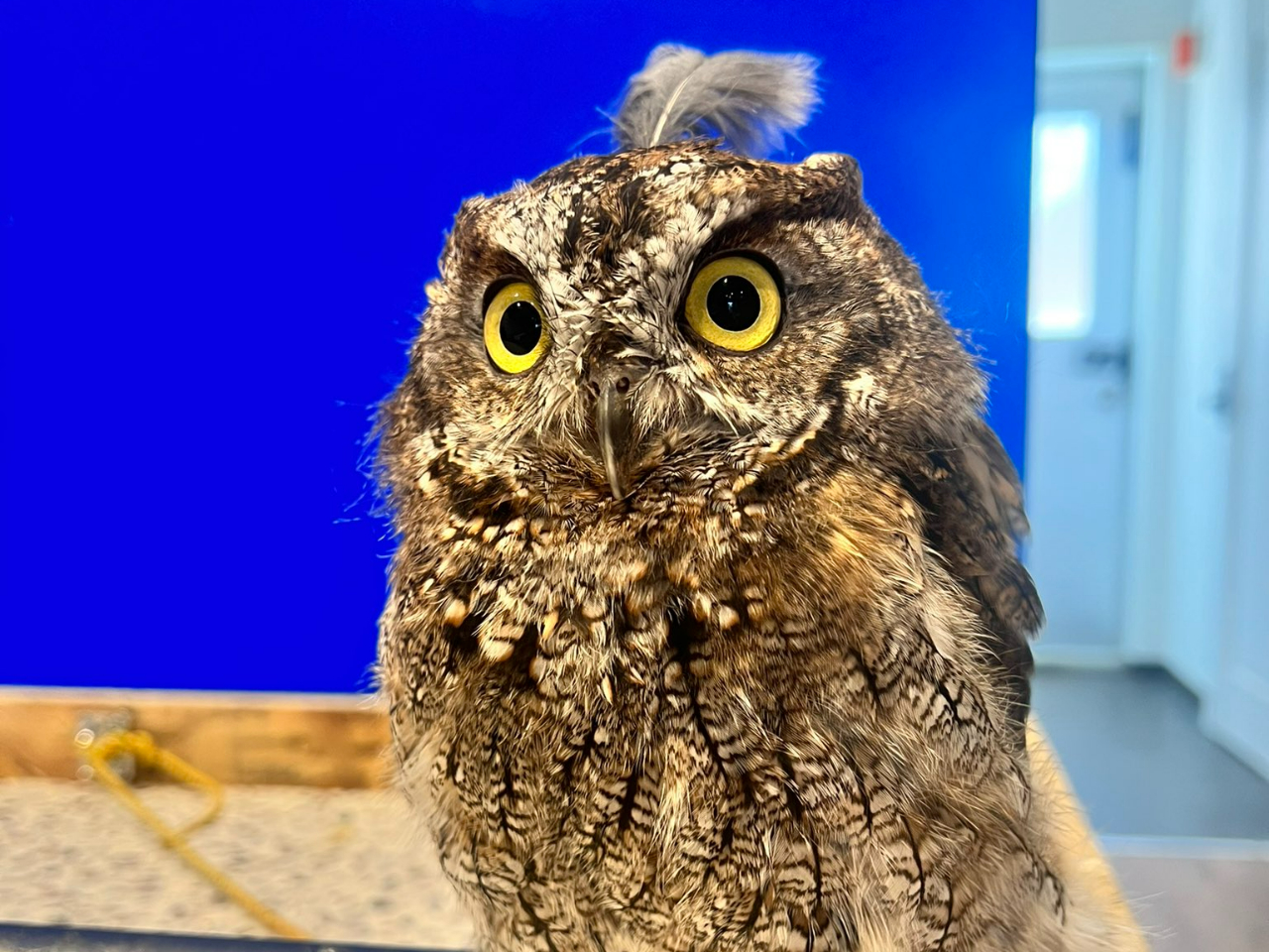 jVAJIIRmnYN^Ԃ͏ŋxe̎łBGꍇlɐ܂