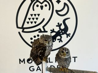 大人気の撮影スポット/腕乗せして一緒に写真を撮りましょう!