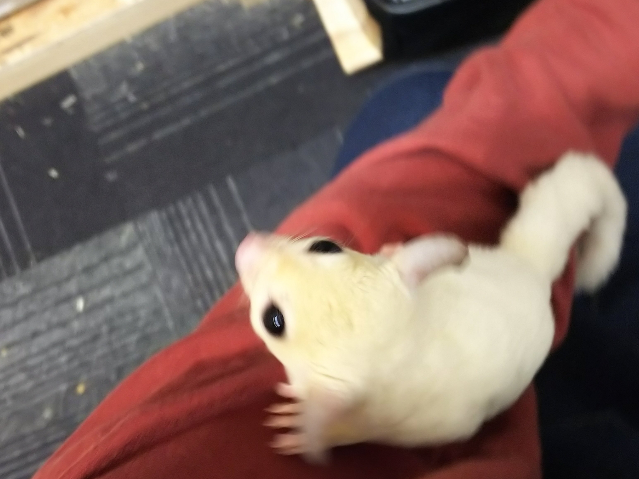 tNK^ʏ̓|[`ɓԂł̐GꍇɂȂ܂