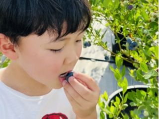 お子様も一緒に♪ファミリー・カップル・お友達同士でブルーベリー狩り★
