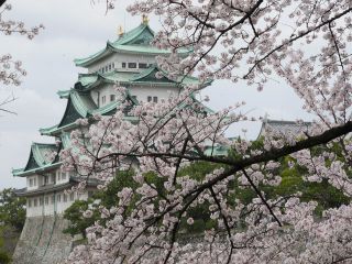 春の名古屋城