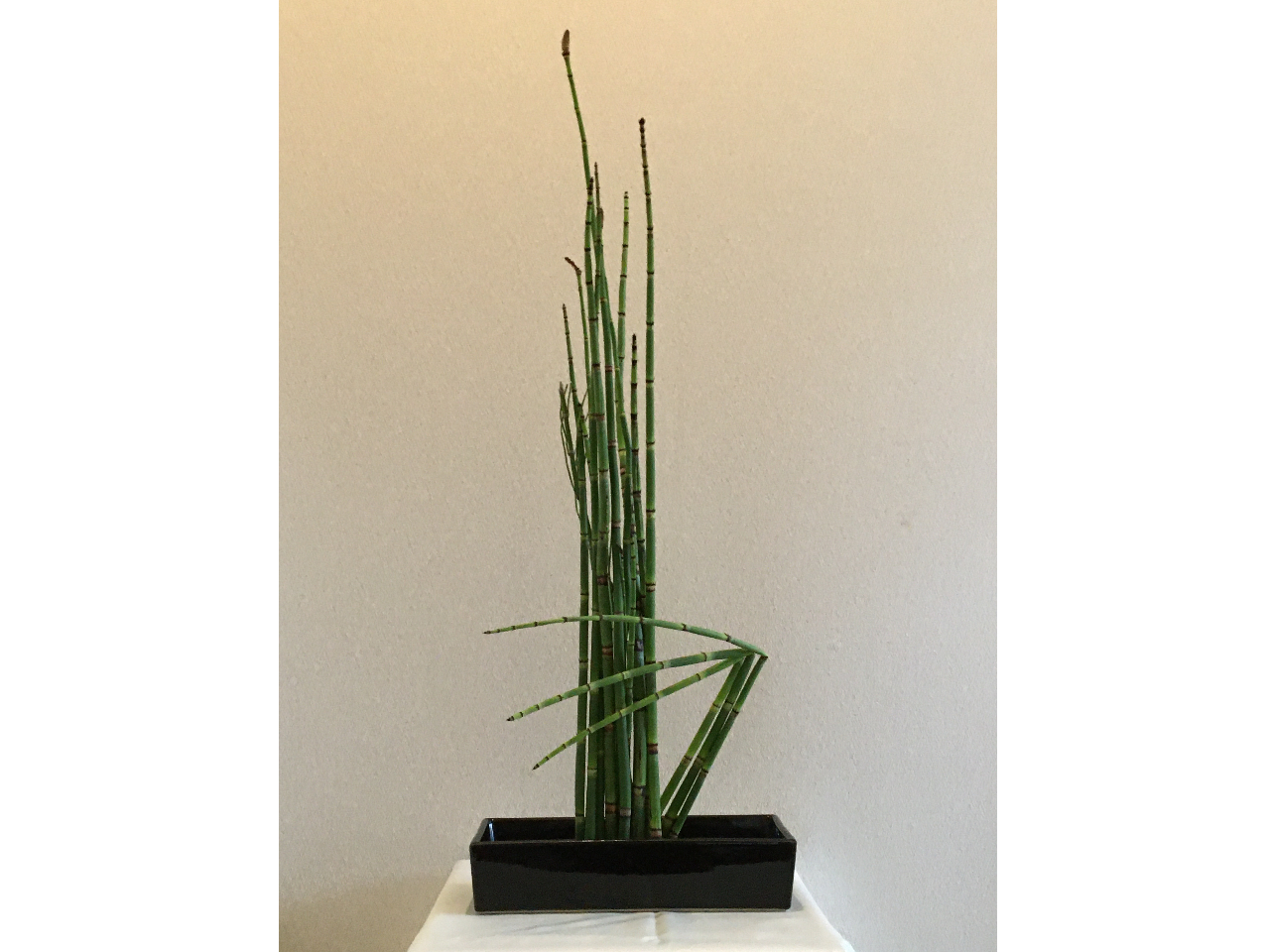 Rcؓł́AؓEEt[AWg̑̌ł܂