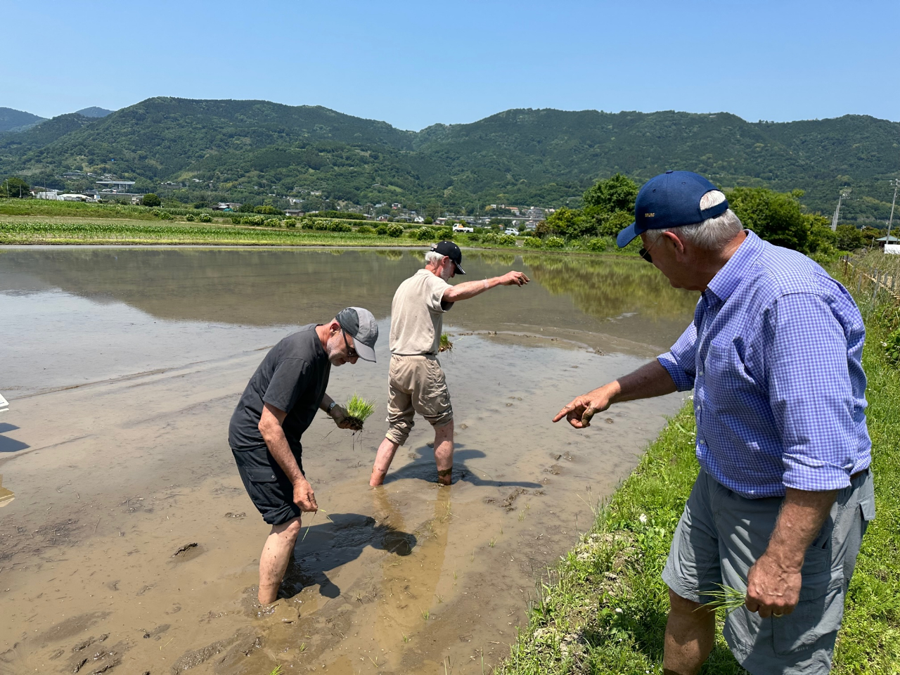 タイミングが合えば田植え体験や稲刈り体験もできちゃいます(追加料金無し)