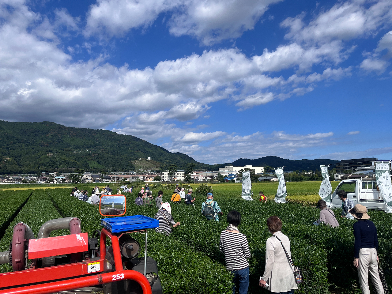 みんな真剣に摘み取って、それを天ぷらにしたり自宅に持ち帰って手もみ茶に挑戦。