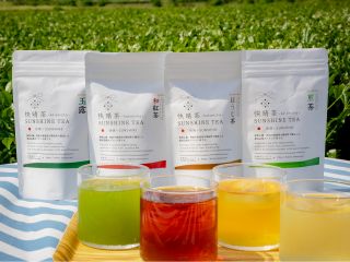 茶葉を摘み取り、手揉みをしてオリジナル快晴茶を作りましょう♪