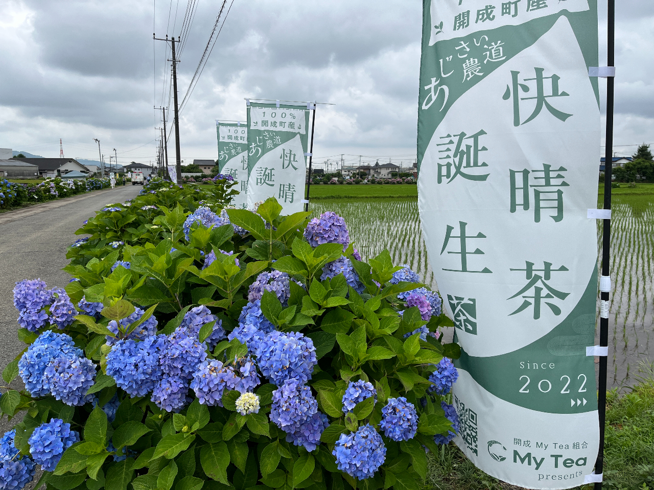 �ꏊ�͂��������_���̂ǐ^�񒆁A�������Z�ȏꏊ�Ŕ_�H�̌�