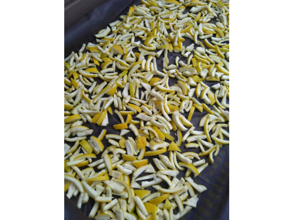 j[T}[IWɎgĂ̂́AXSIWiłB