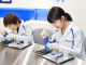 〜医薬研究所〜薬の成分を研究し、冷却ジェルシートを作ろう!