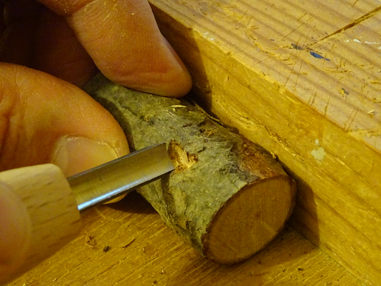 Jb^[EO[gȂIWii낤IyYɂ