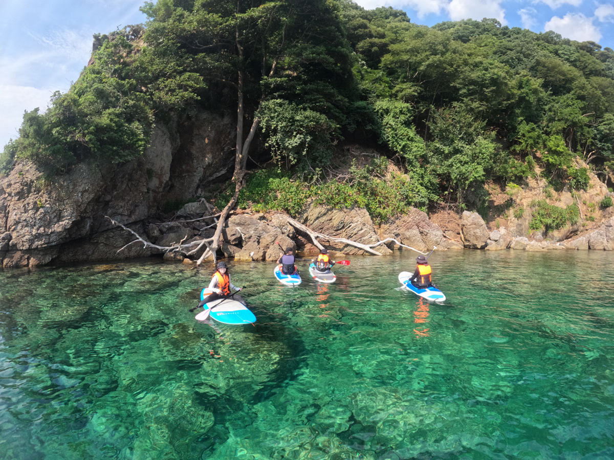 ̃|Cg͕g킵ĂAɉ₩ŃLCȐlCX|bgłI