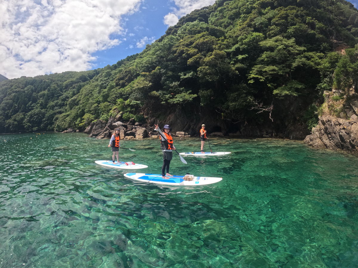 ̌QɑA̖𕷂Ȃ玩RSUPy߂܂I