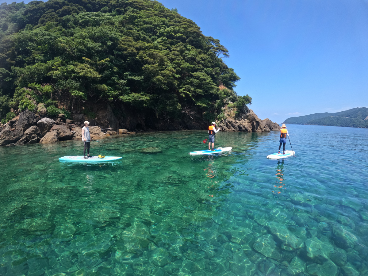 《小浜の海を満喫できる!》当店おすすめの若狭湾SUP体験ツアーBコース!