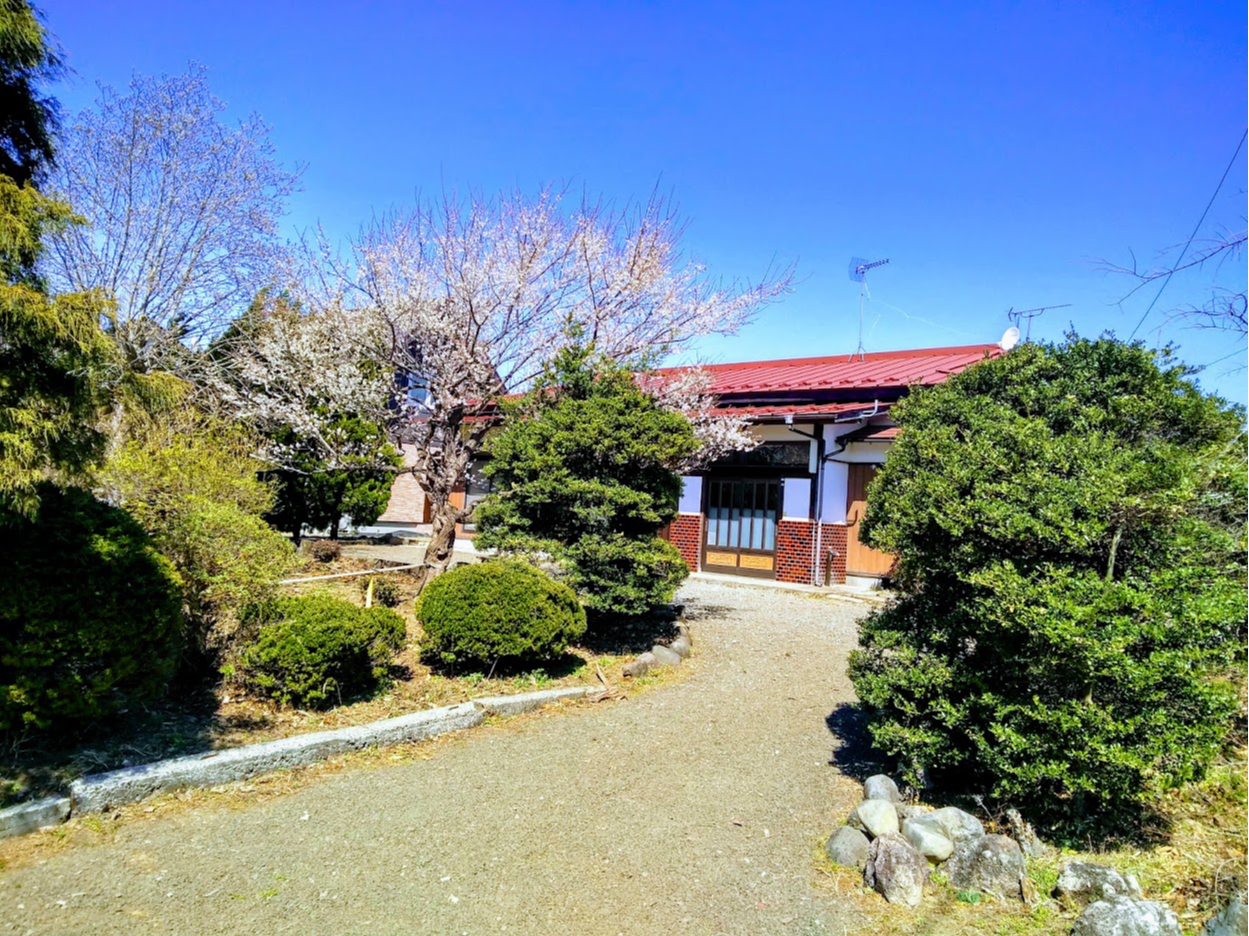 �����������͋C�̊O�ρB3�����{�`4����{�͂���ɔ~�̉Ԃ��炫�ւ�܂��B