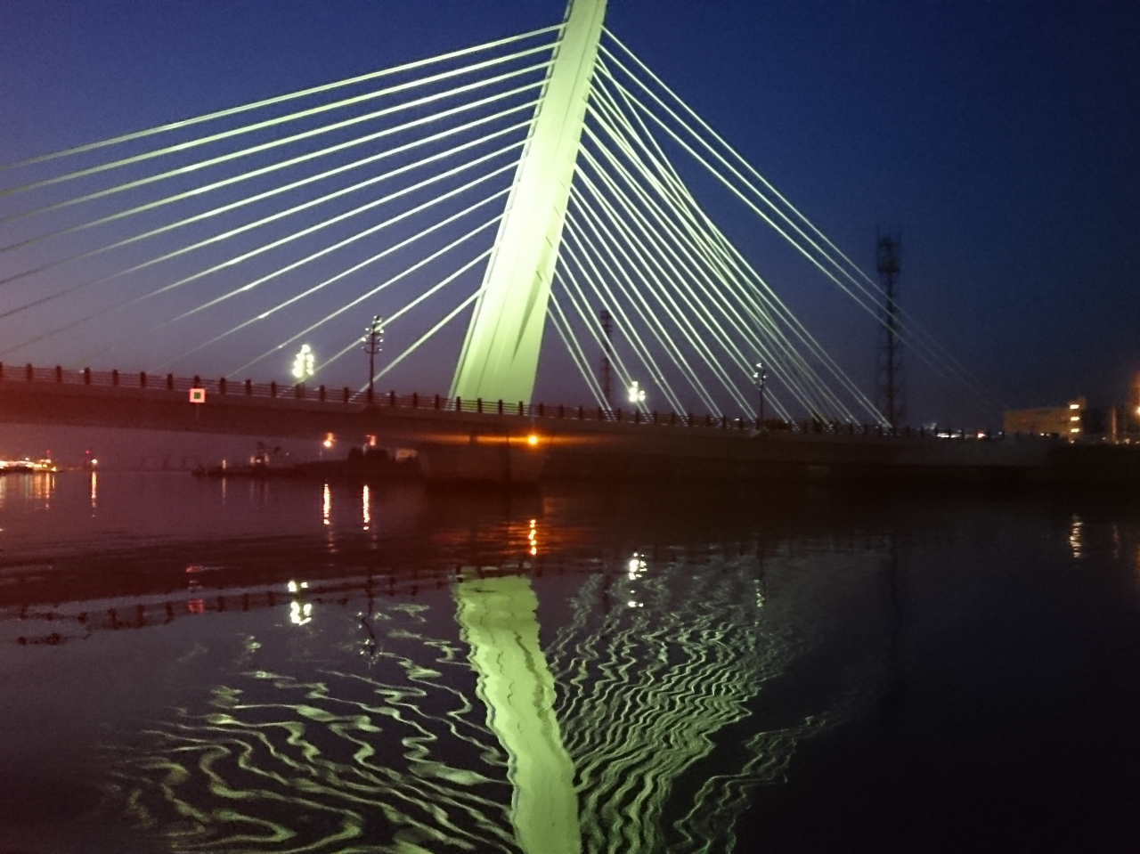 ���C�g�A�b�v���ꂽ�V�[�K���u���b�W�I���ˍ`���ň���Y��ȋ��ł��I